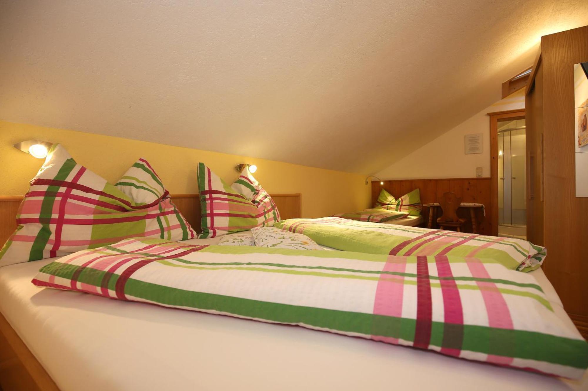 Haufhof-Pension Am Bauernhof, Haus Im Ennstal Bei Schladming المظهر الخارجي الصورة