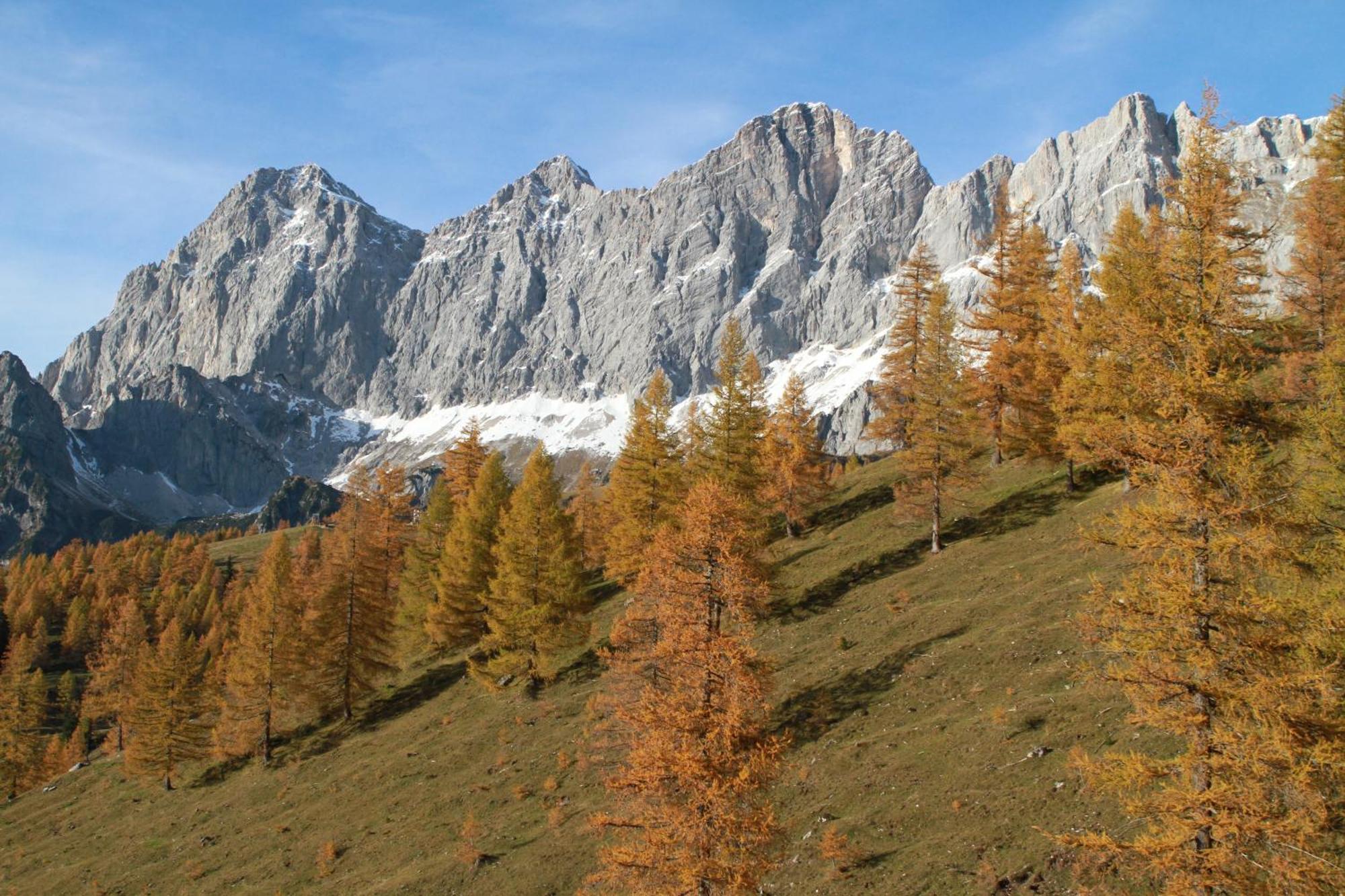 Haufhof-Pension Am Bauernhof, Haus Im Ennstal Bei Schladming المظهر الخارجي الصورة