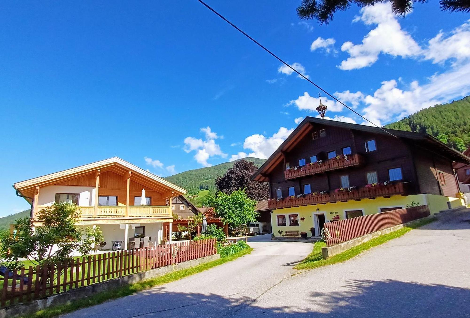 Haufhof-Pension Am Bauernhof, Haus Im Ennstal Bei Schladming المظهر الخارجي الصورة